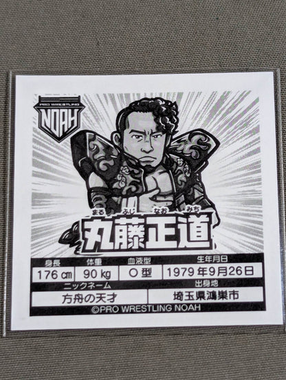 Naomichi Marufuji  NOAH Prism Sticker Collection