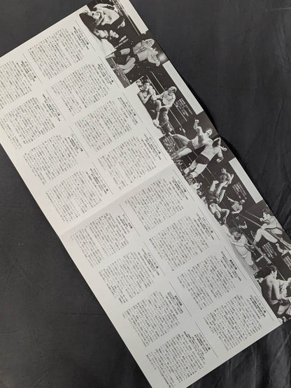 Fighting Spirit Memorial File -Antonio Inoki  Trail of Passionate Struggle- vol.2