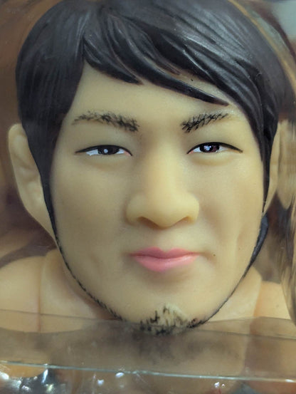 Hiroshi Tanahashi  (White Tights)