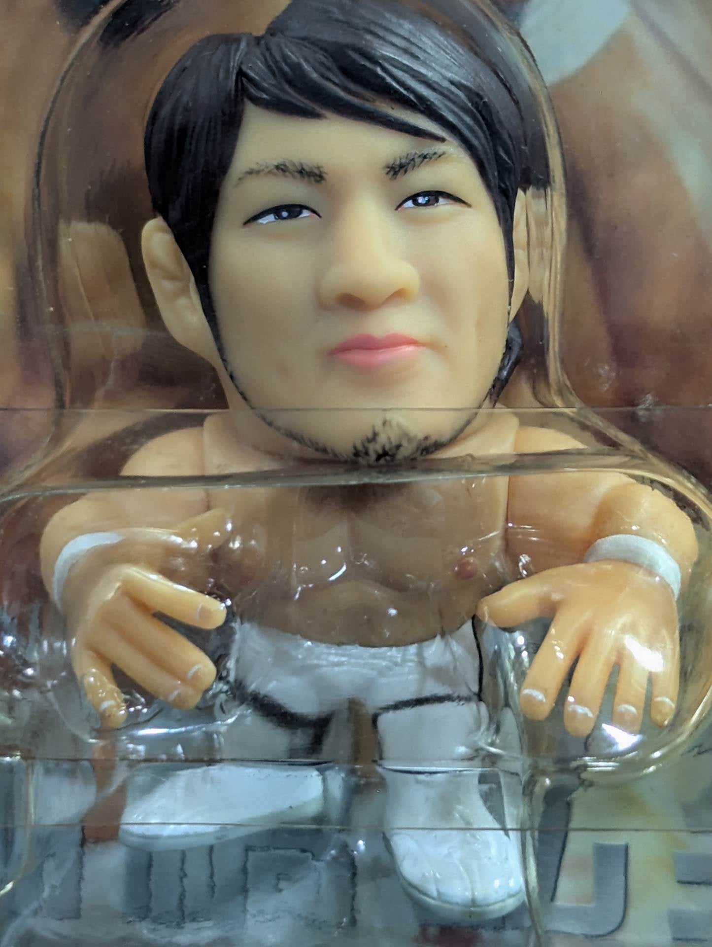 Hiroshi Tanahashi  (White Tights)