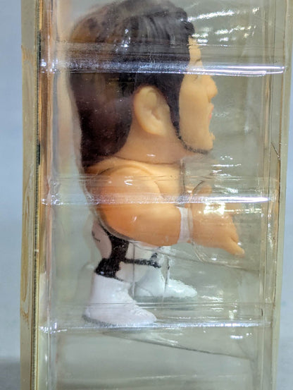 Hiroshi Tanahashi  (White Tights)