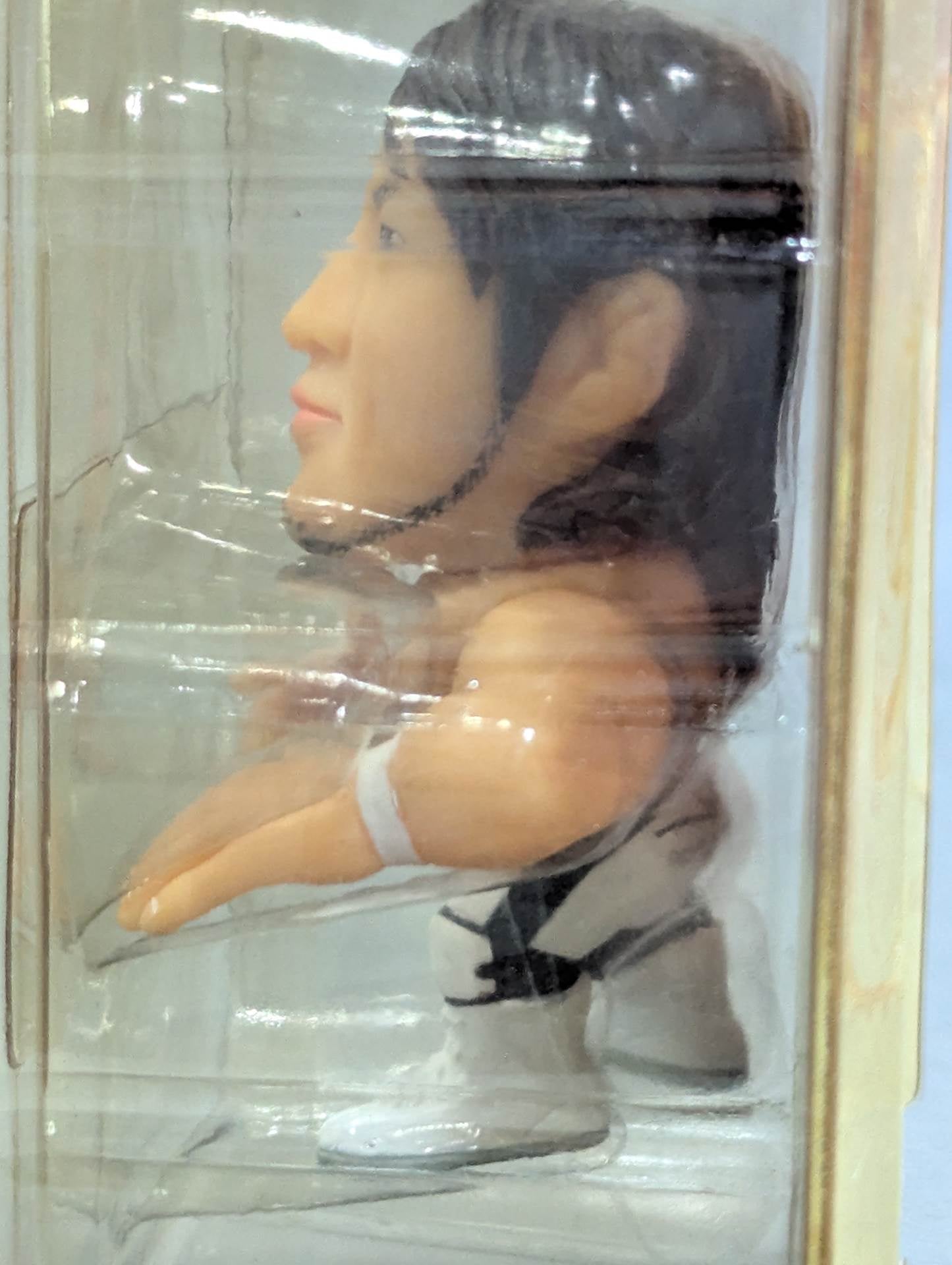 Hiroshi Tanahashi  (White Tights)