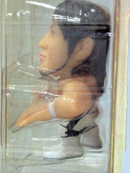 Hiroshi Tanahashi  (White Tights)