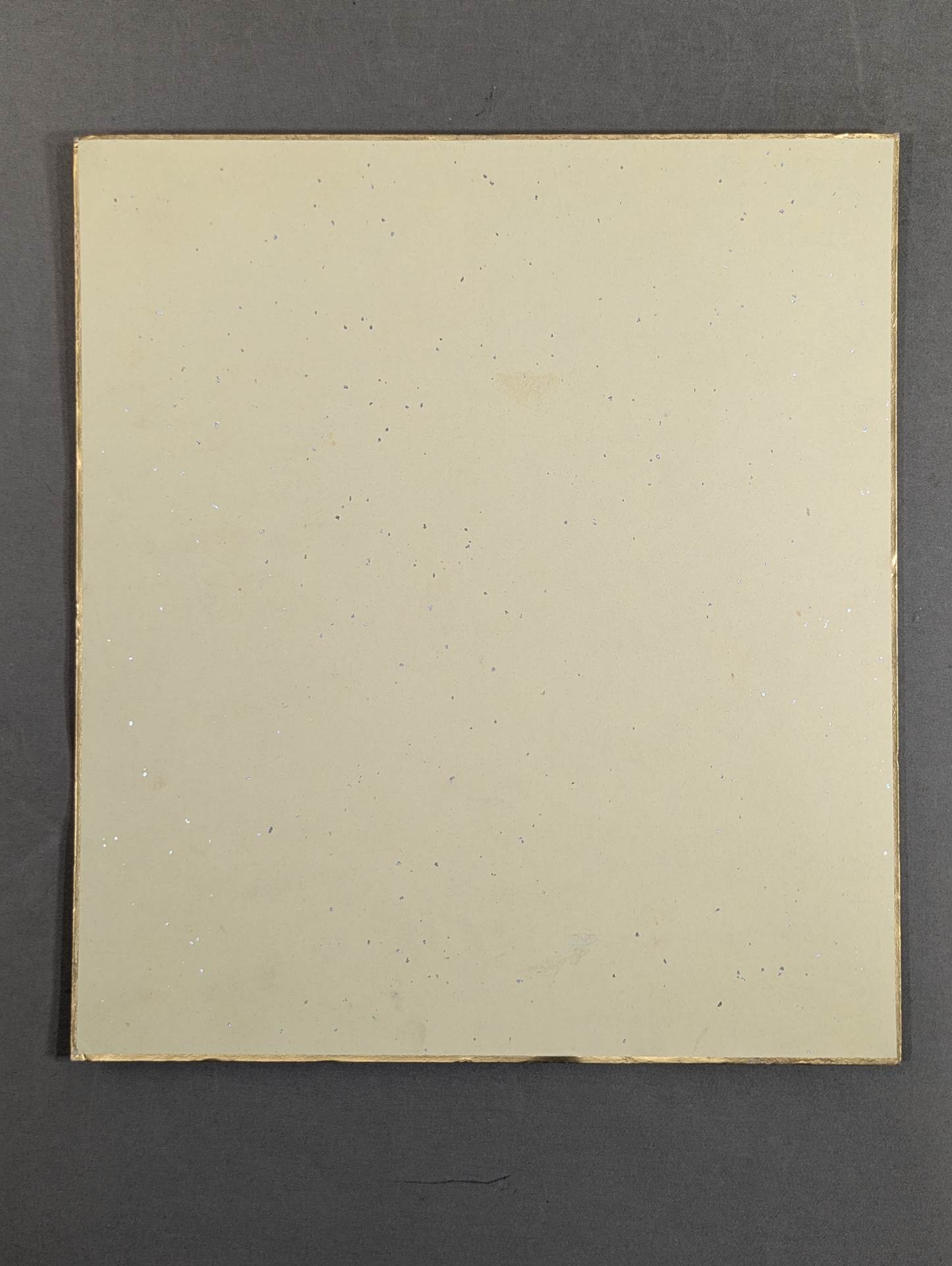 Tomokoko Shiratori (photo attached)