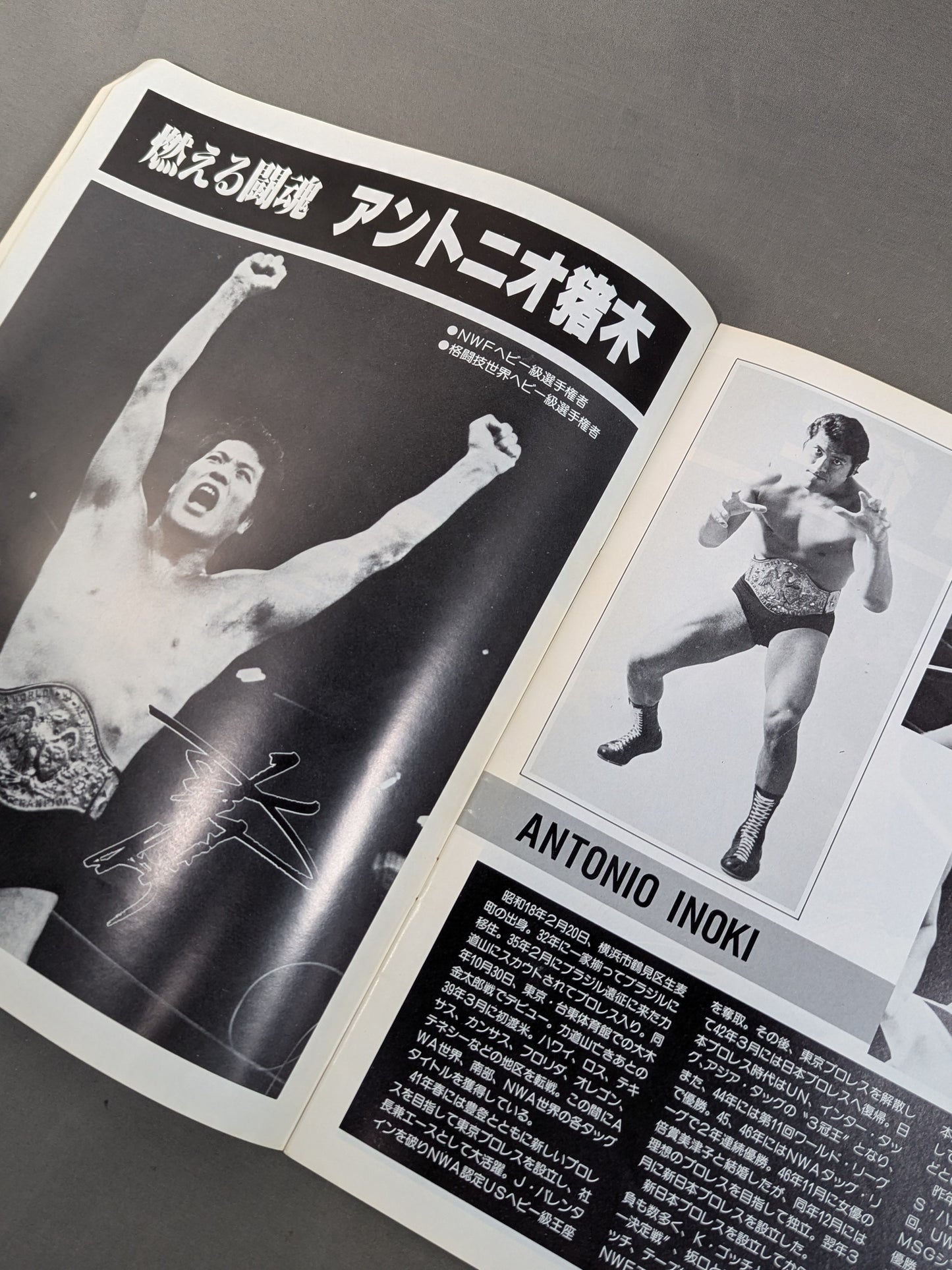 81 New Year Golden Series