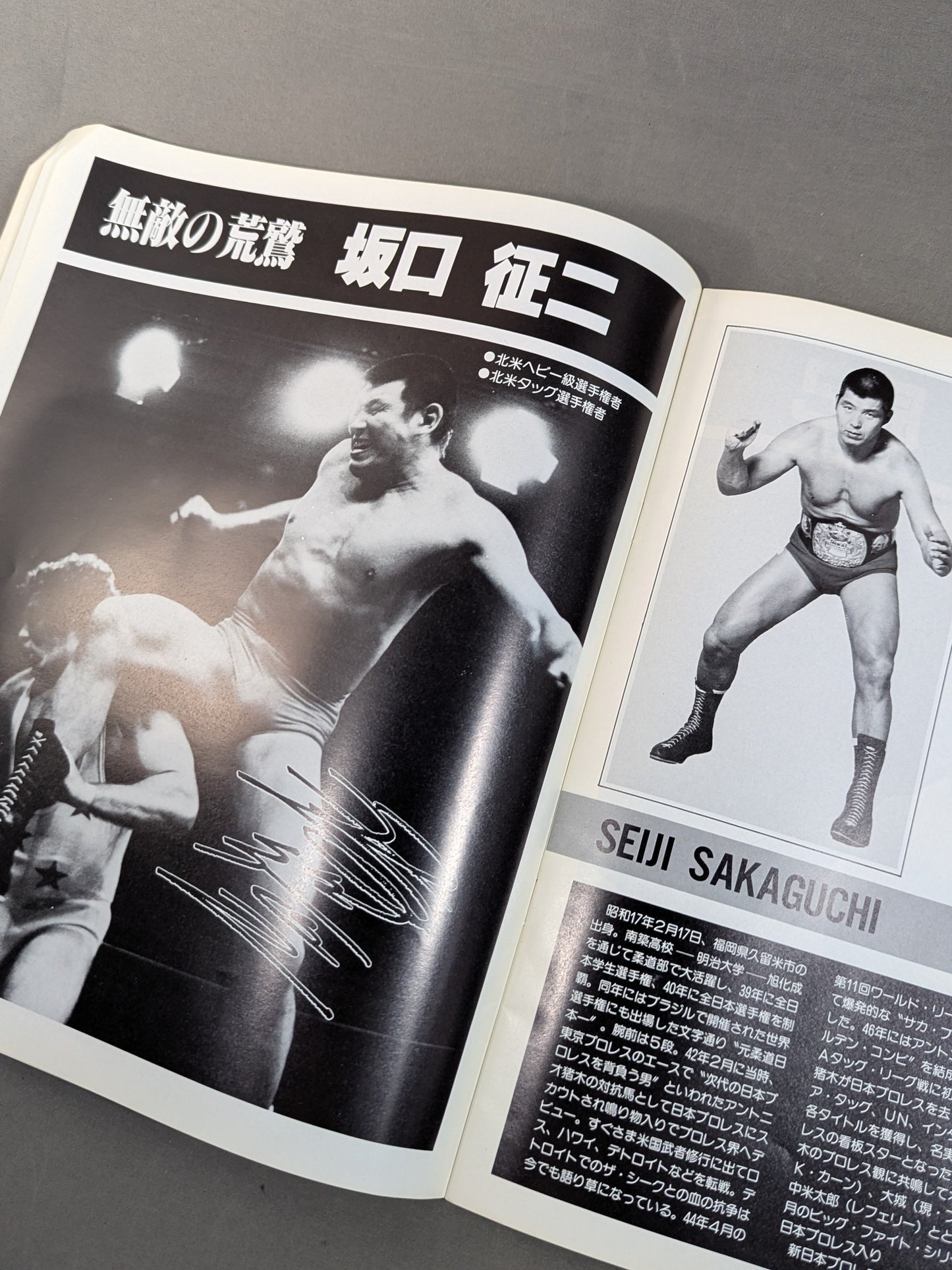 81 New Year Golden Series