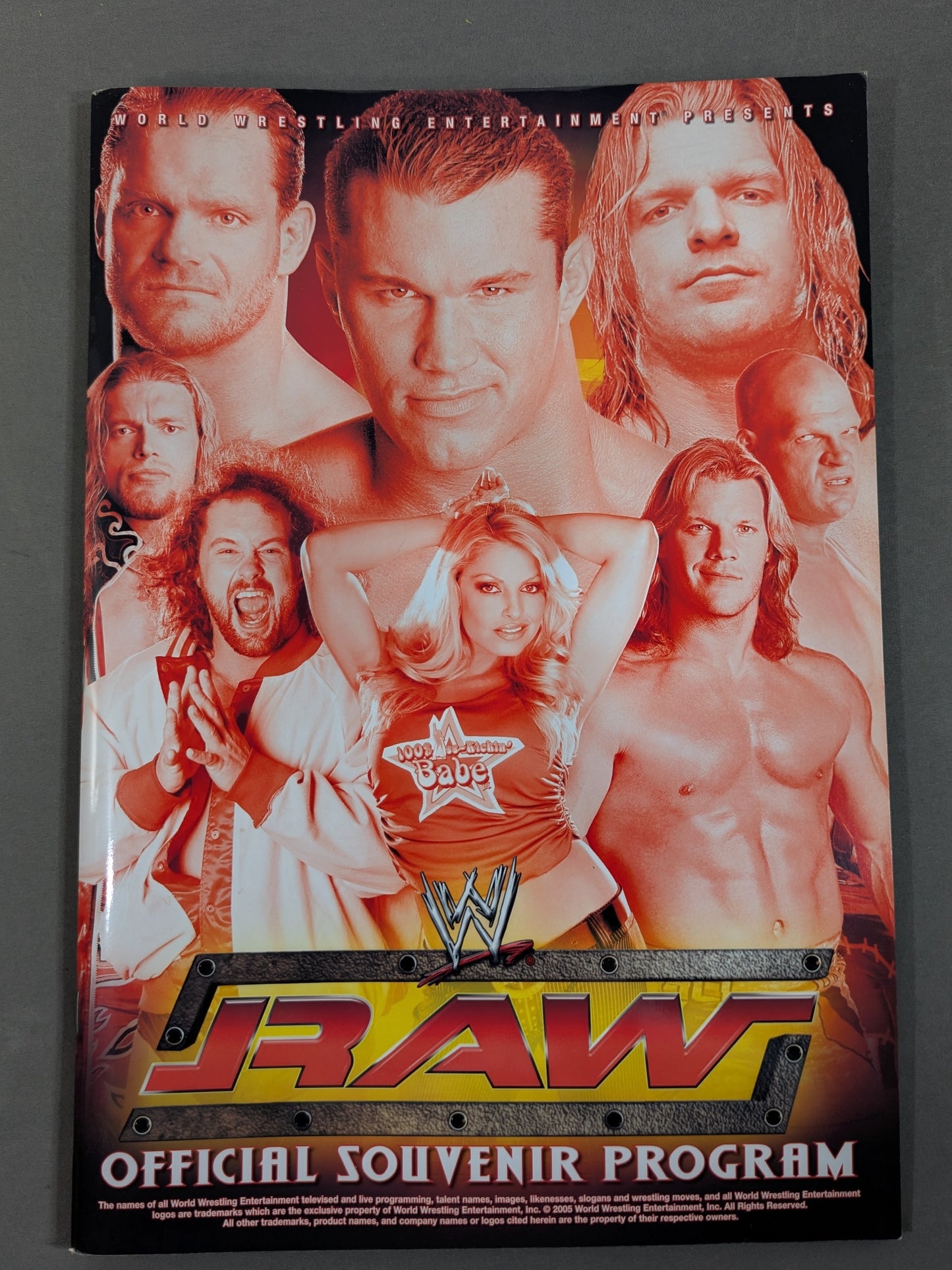 RAW＆SMACKDOWN OFFICIAL SOUVENIR PROGRAM 2005 (A)