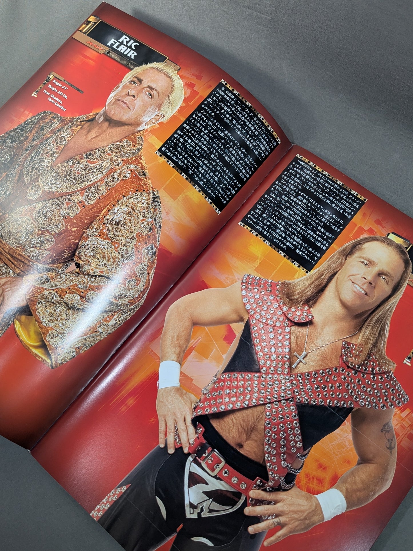 RAW＆SMACKDOWN OFFICIAL SOUVENIR PROGRAM 2005 (A)