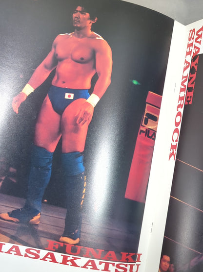 ★ I'll live again from tomorrow! ★ HYBRID Vol.6 / PANCRASE TOUR 1996【TRUTH】