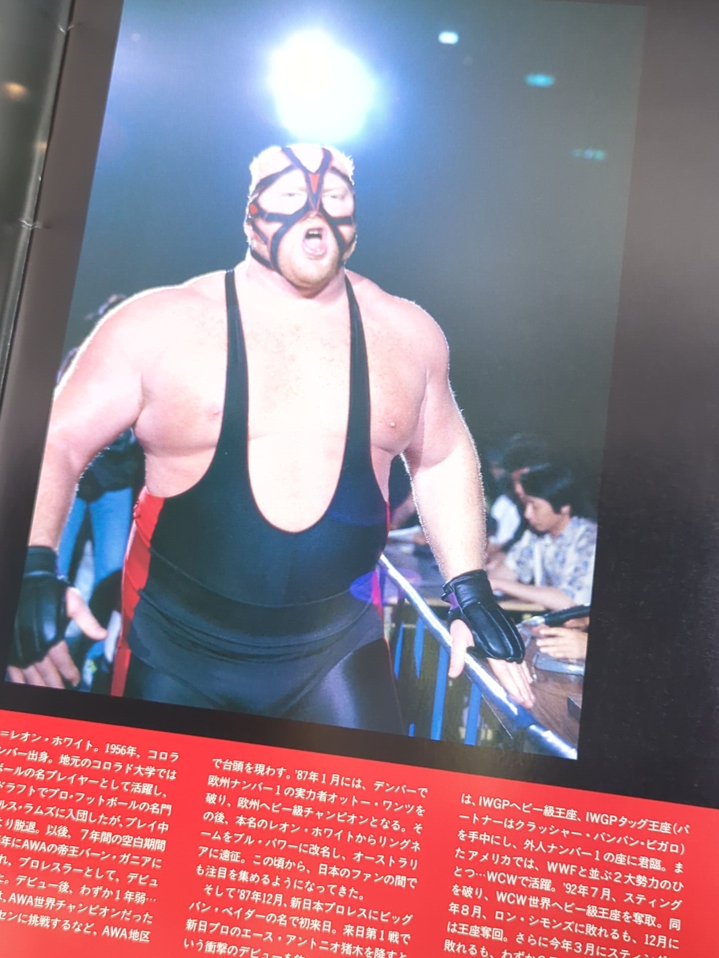 THE FIGHT OF CHAMPIONS(1993.5.6)