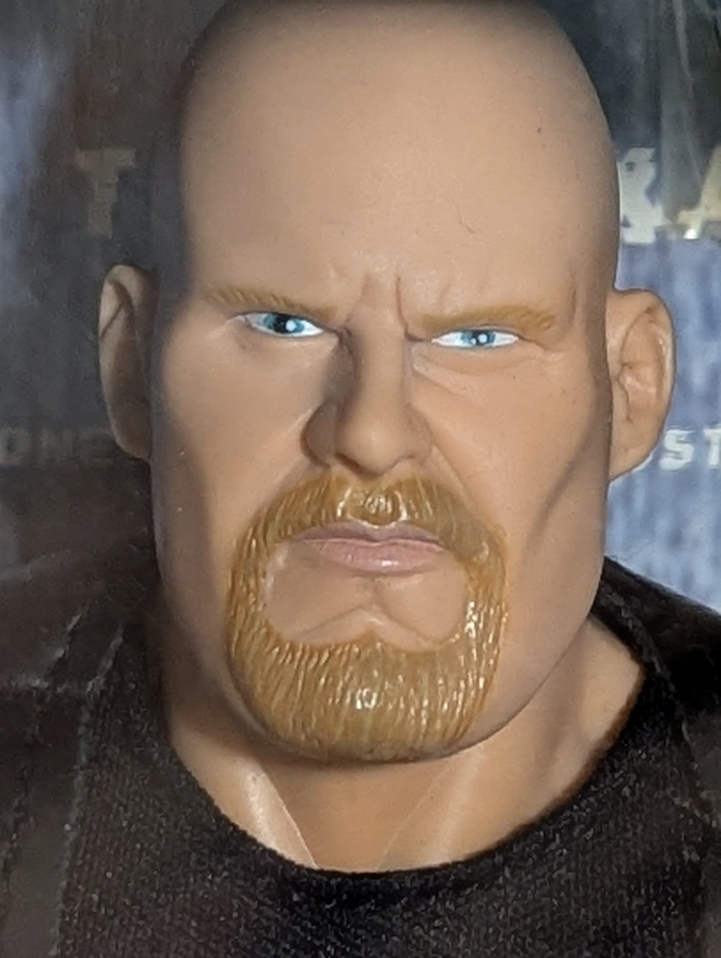 Stonecold Steve Austin