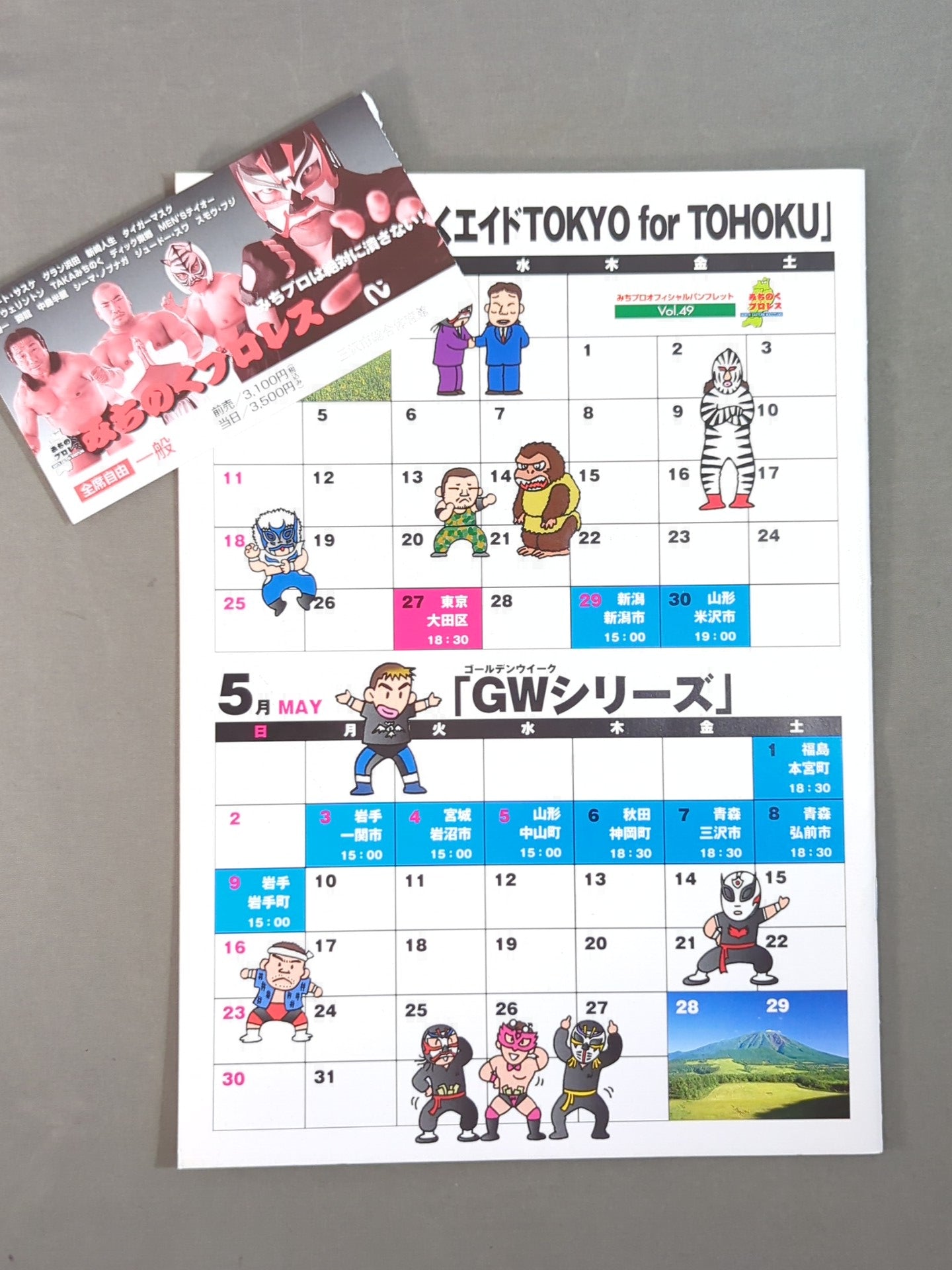 【ticket stub 】Michinoku Pro Wrestling Official Pamphlet Vol.49