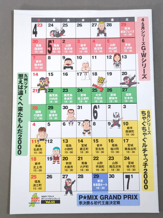 Michinoku Pro Wrestling  Official Pamphlet Vol.55