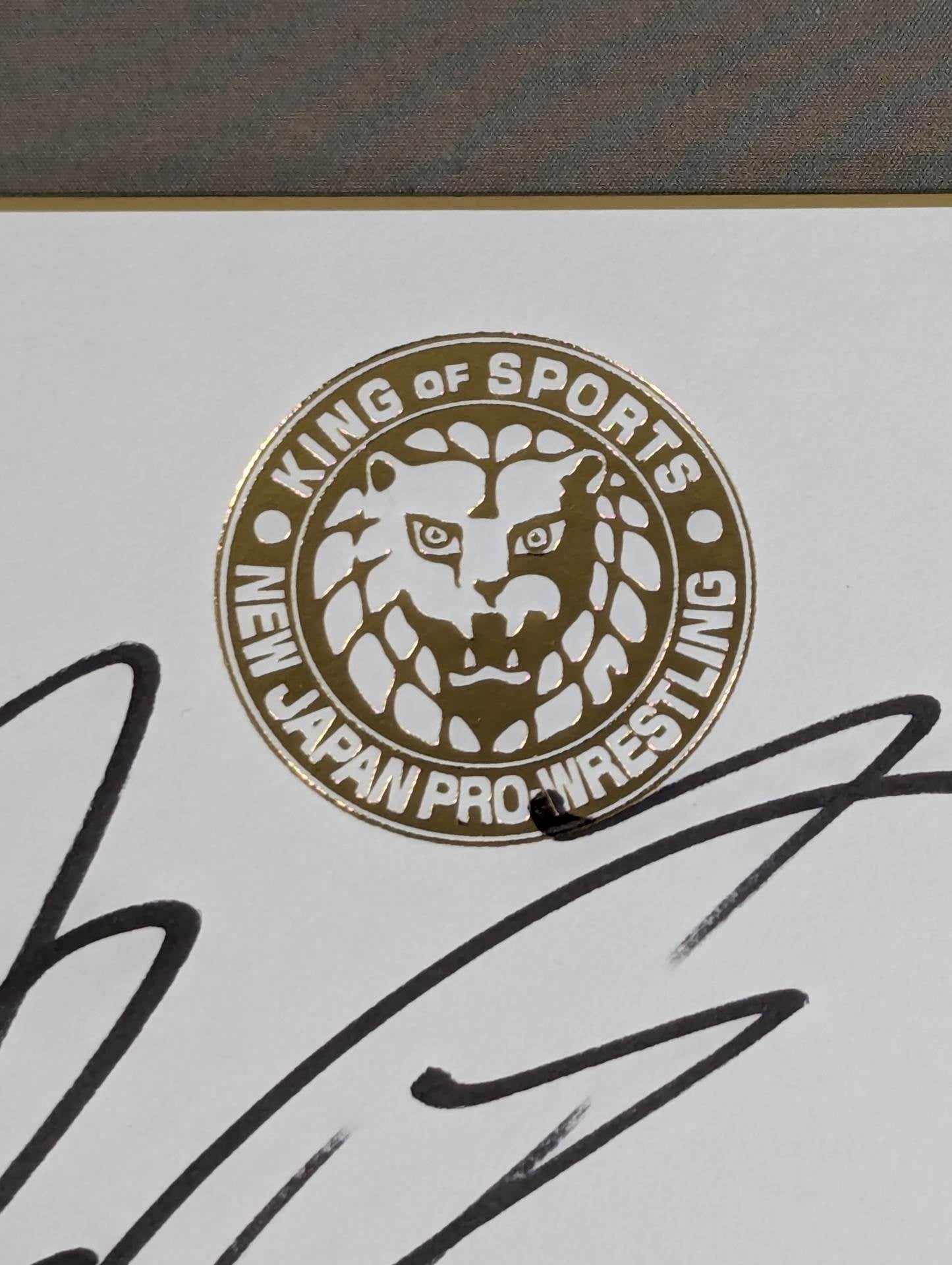 DOUKI(Lion Mark Shikishi ( Autograph board ) )