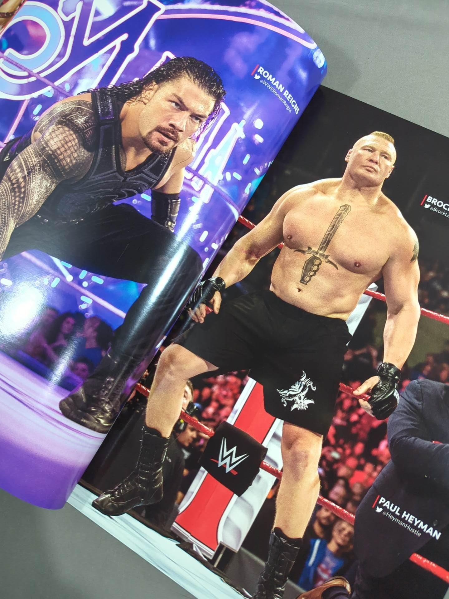 WWE OFFICIAL PROGRAM 2018(B)