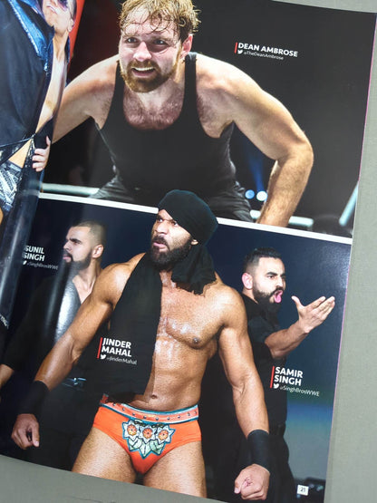 WWE OFFICIAL PROGRAM 2018(B)