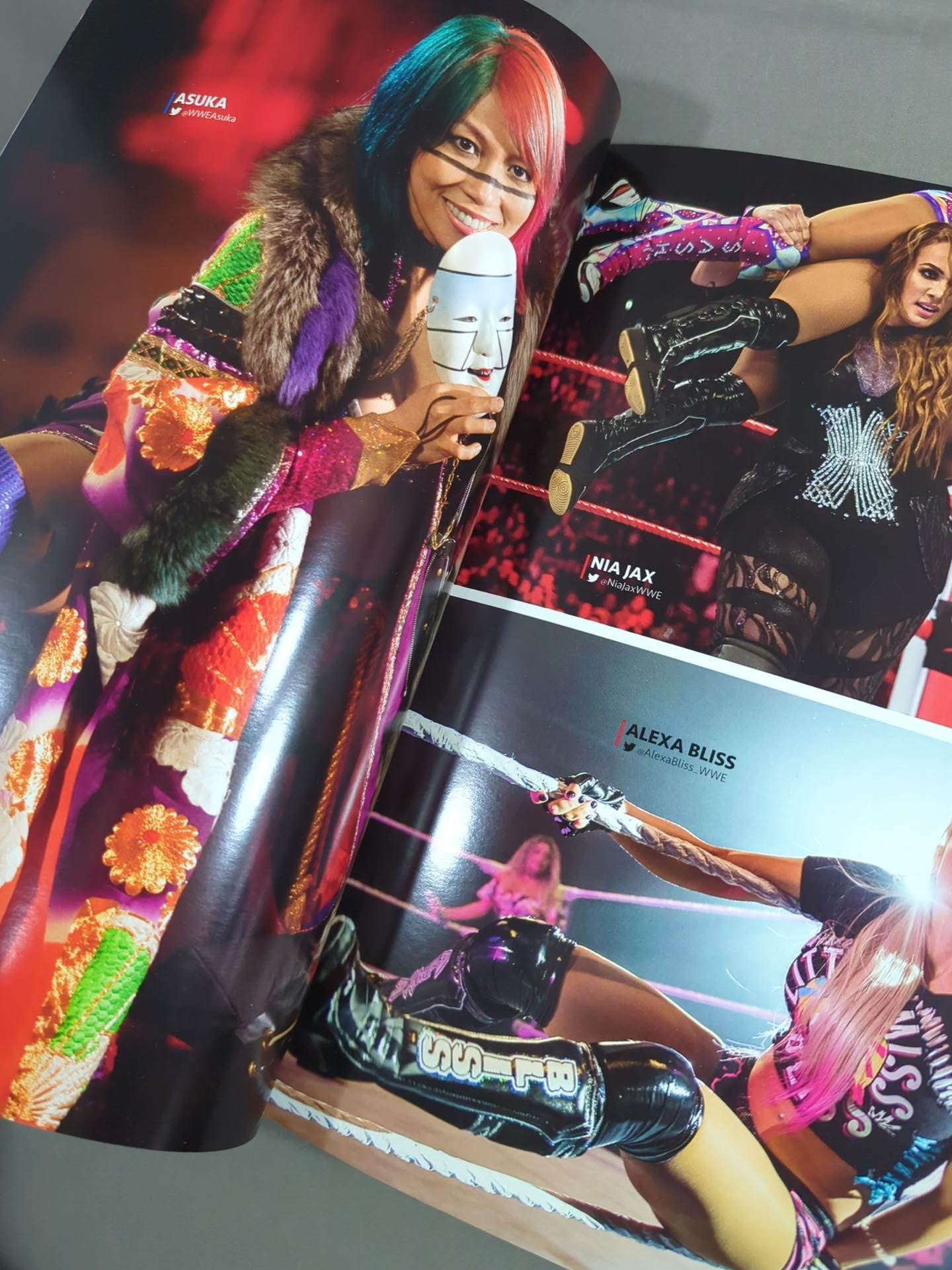 WWE OFFICIAL PROGRAM 2018(B)