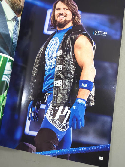 WWE OFFICIAL PROGRAM 2018(B)