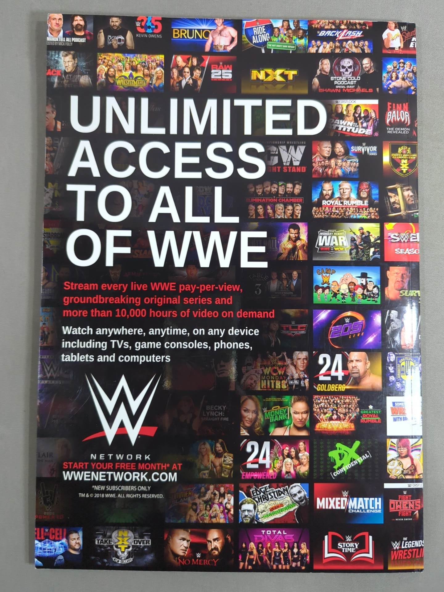 WWE OFFICIAL PROGRAM 2018(B)