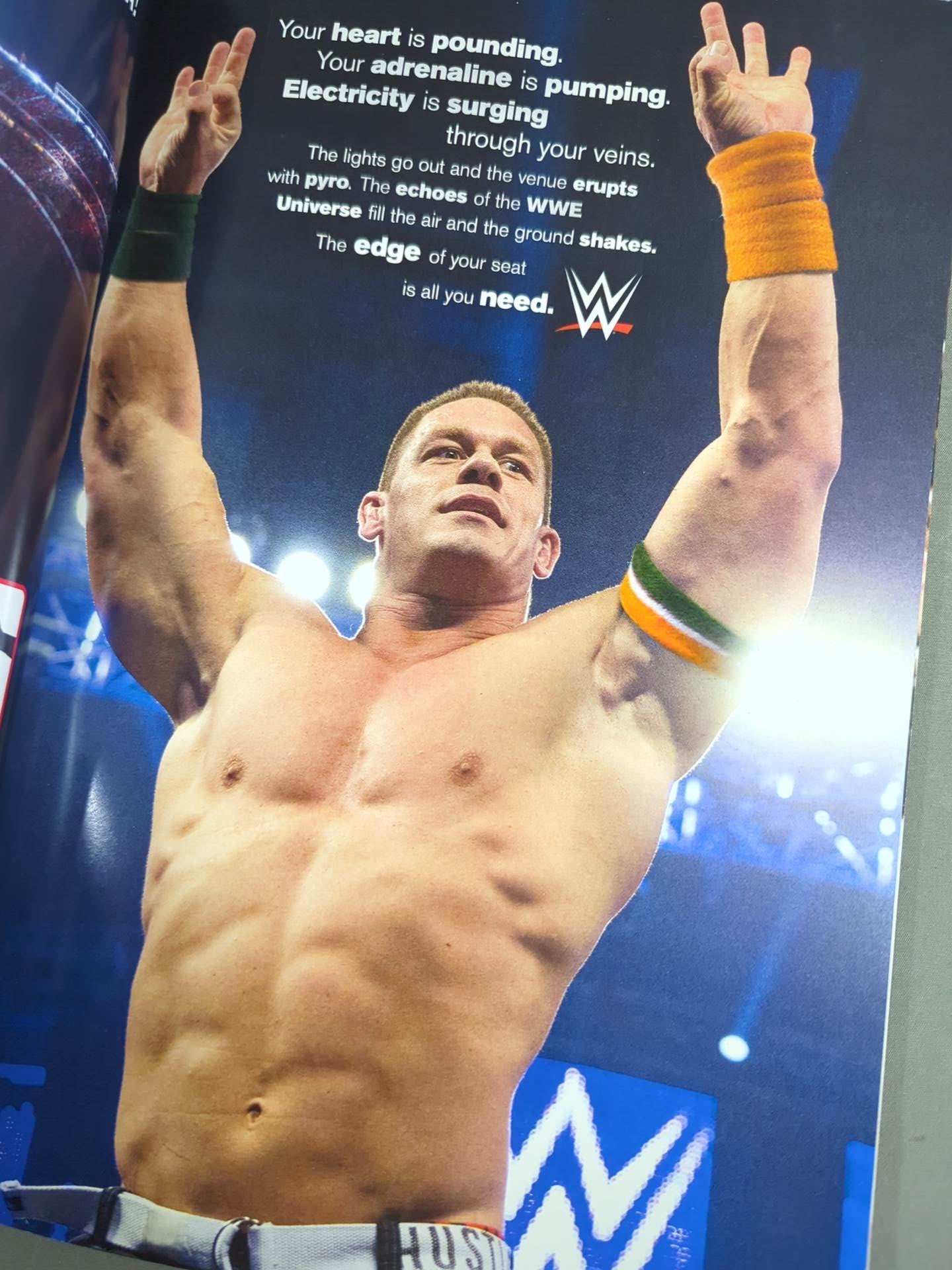 WWE OFFICIAL PROGRAM 2015(A) – 闘道館