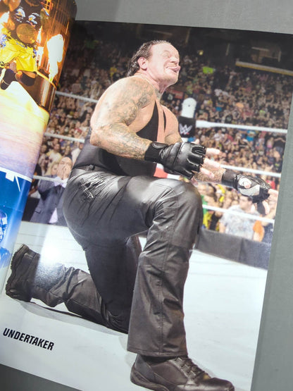 WWE OFFICIAL PROGRAM 2015(A)