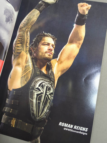 WWE OFFICIAL PROGRAM 2015(A)