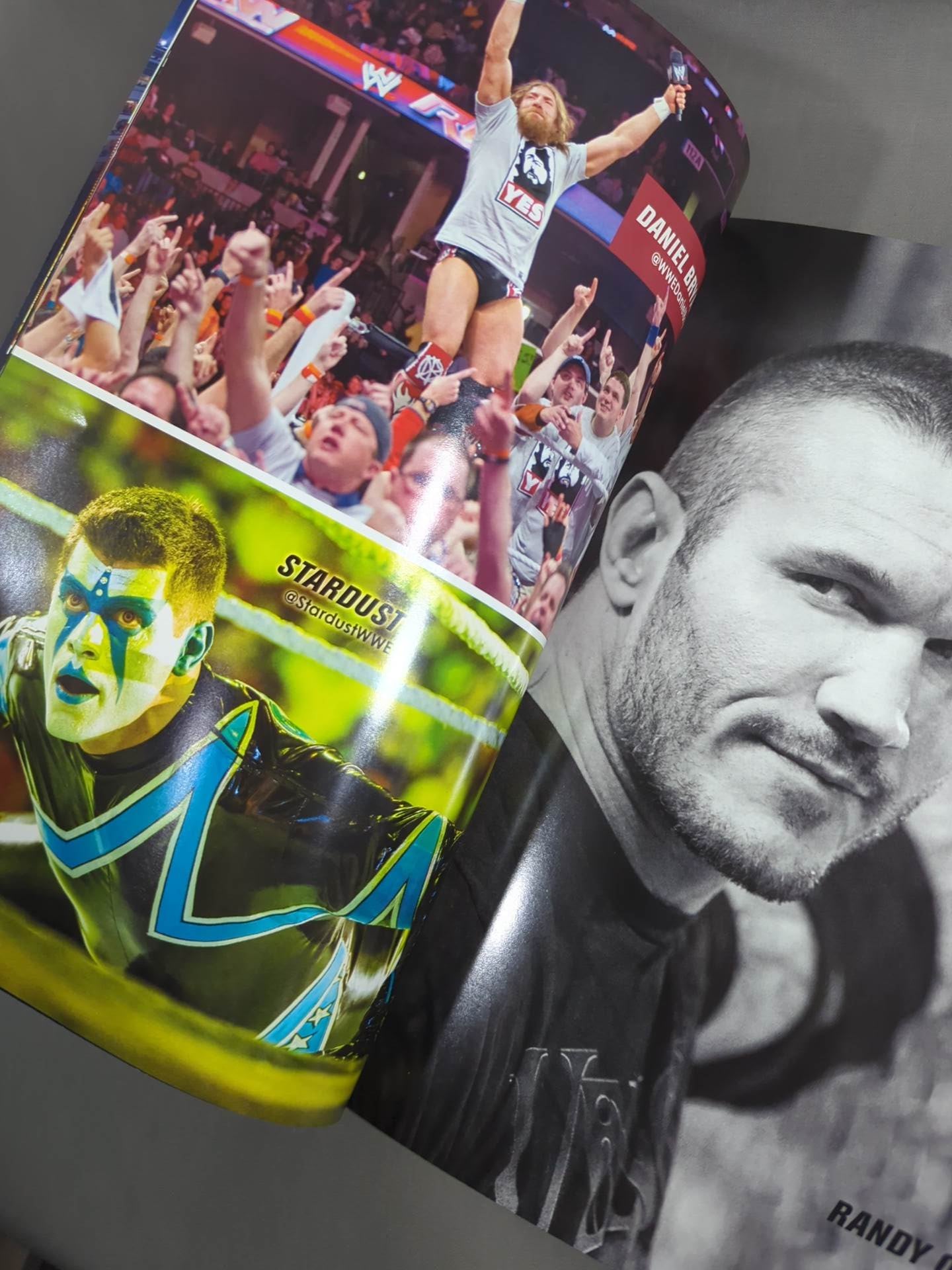 WWE OFFICIAL PROGRAM 2015(A)