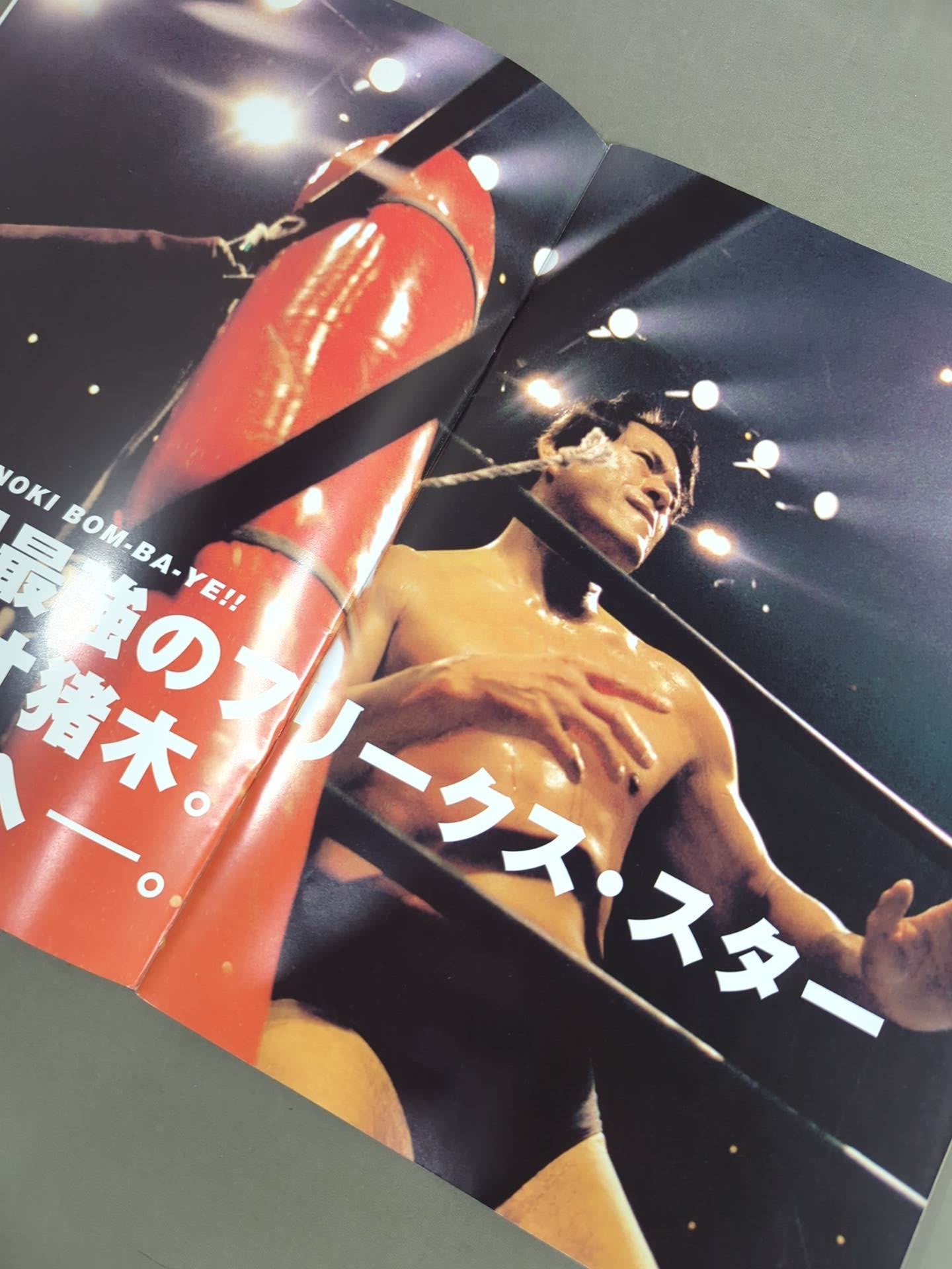 イノキ・ボンバイエ ミレニアム・ファイティング・アーツ – 闘道館