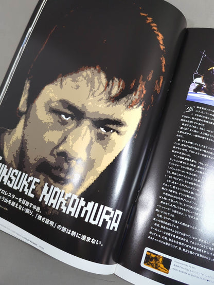 ROMANEX K-1 MMA Championship