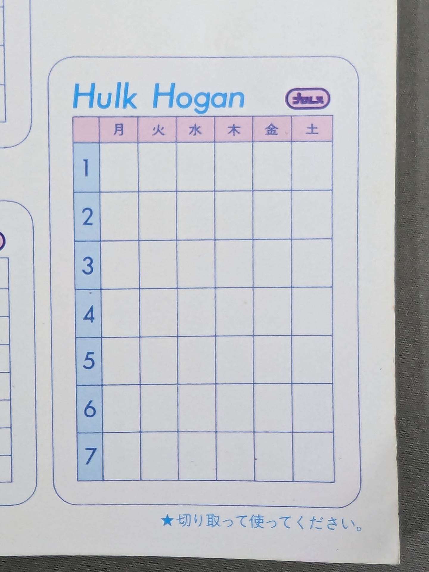 Hulk Hogan  Wrestler Cards(2)