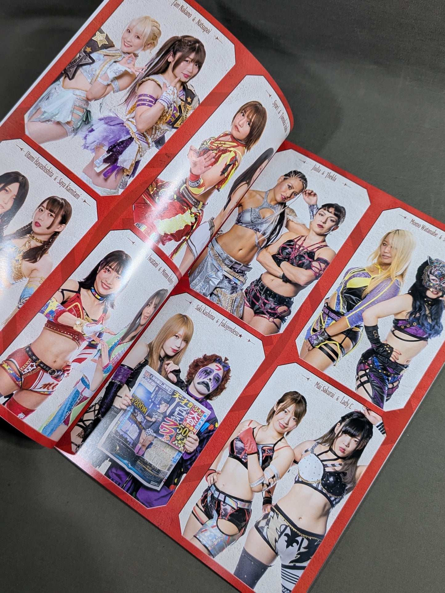 STARDOM OFFICIAL GUIDE BOOK Vol.144