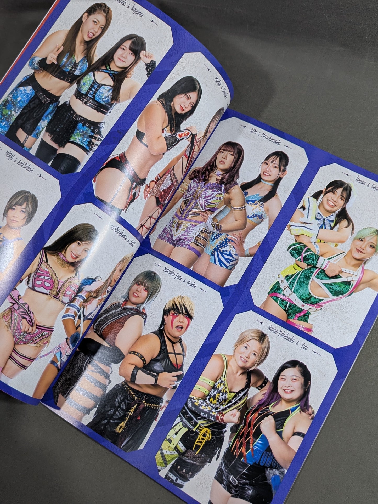 STARDOM OFFICIAL GUIDE BOOK Vol.144