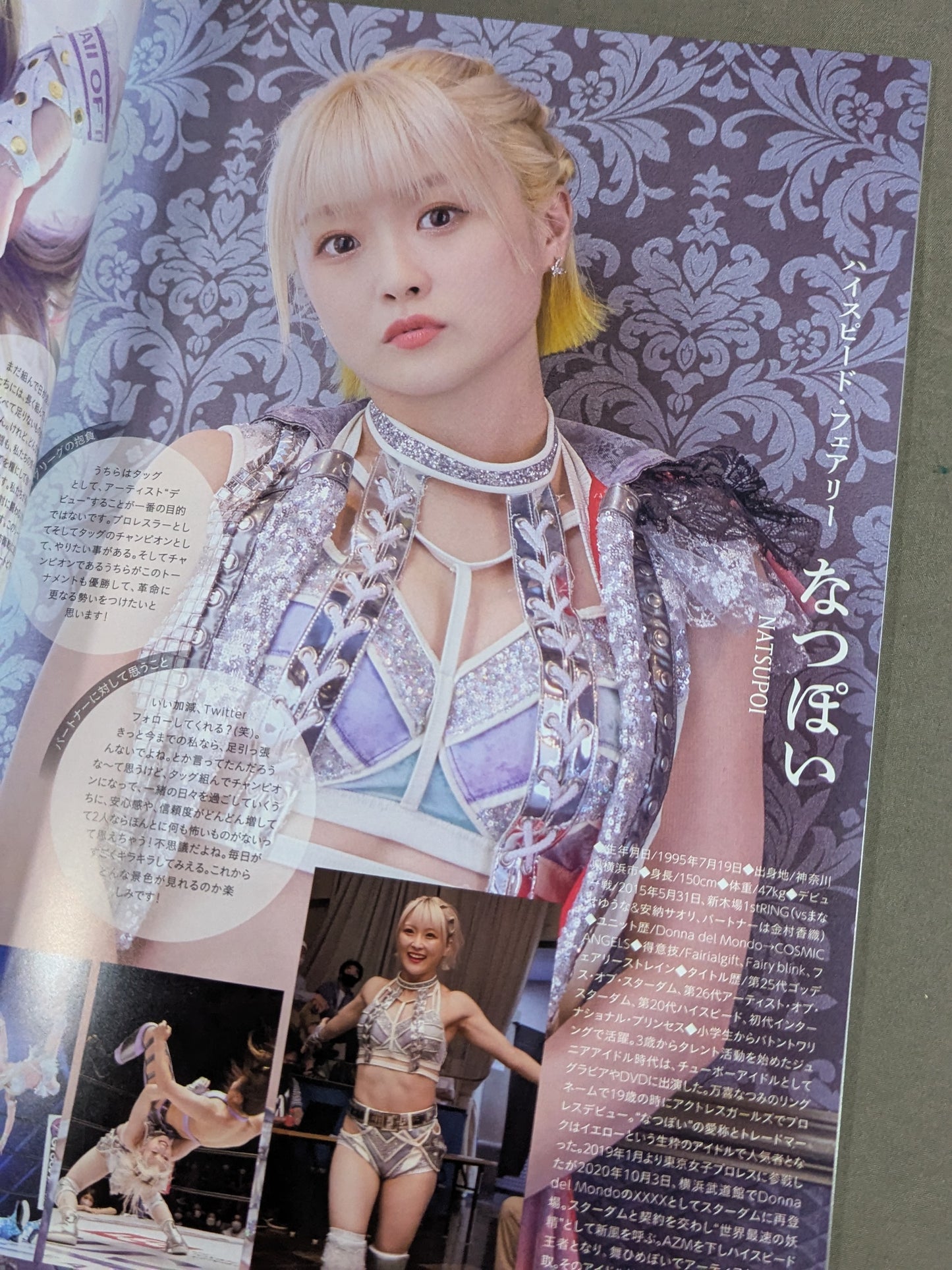 STARDOM OFFICIAL GUIDE BOOK Vol.144