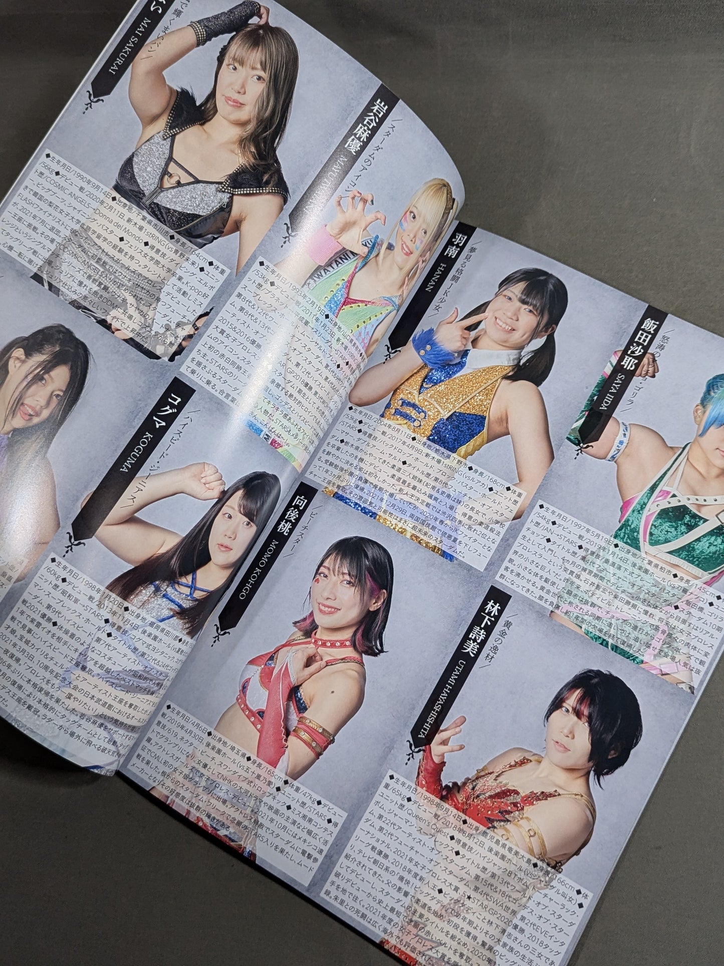 STARDOM OFFICIAL GUIDE BOOK Vol.142