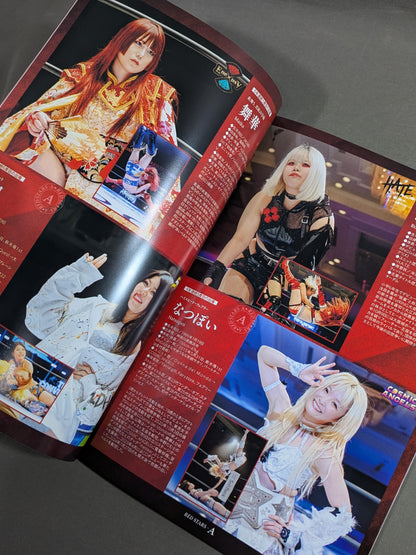 STARDOM OFFICIAL GUIDE BOOK Vol.152
