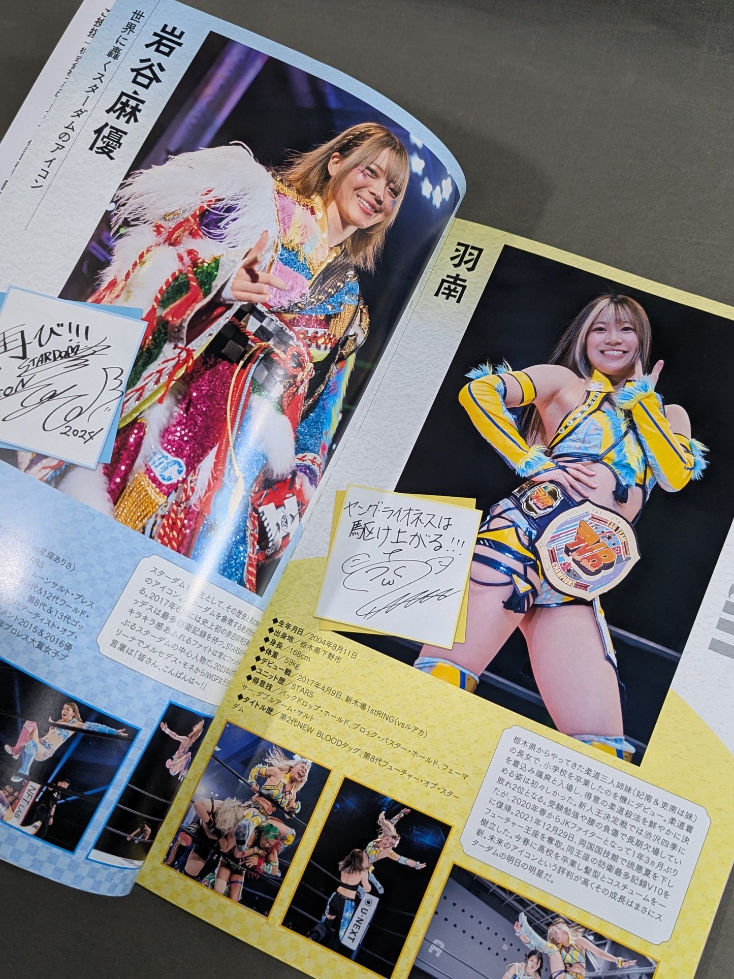 STARDOM OFFICIAL GUIDE BOOK Vol.150