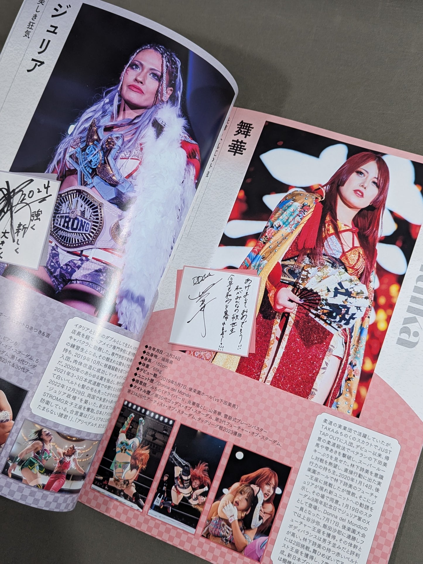 STARDOM OFFICIAL GUIDE BOOK Vol.150
