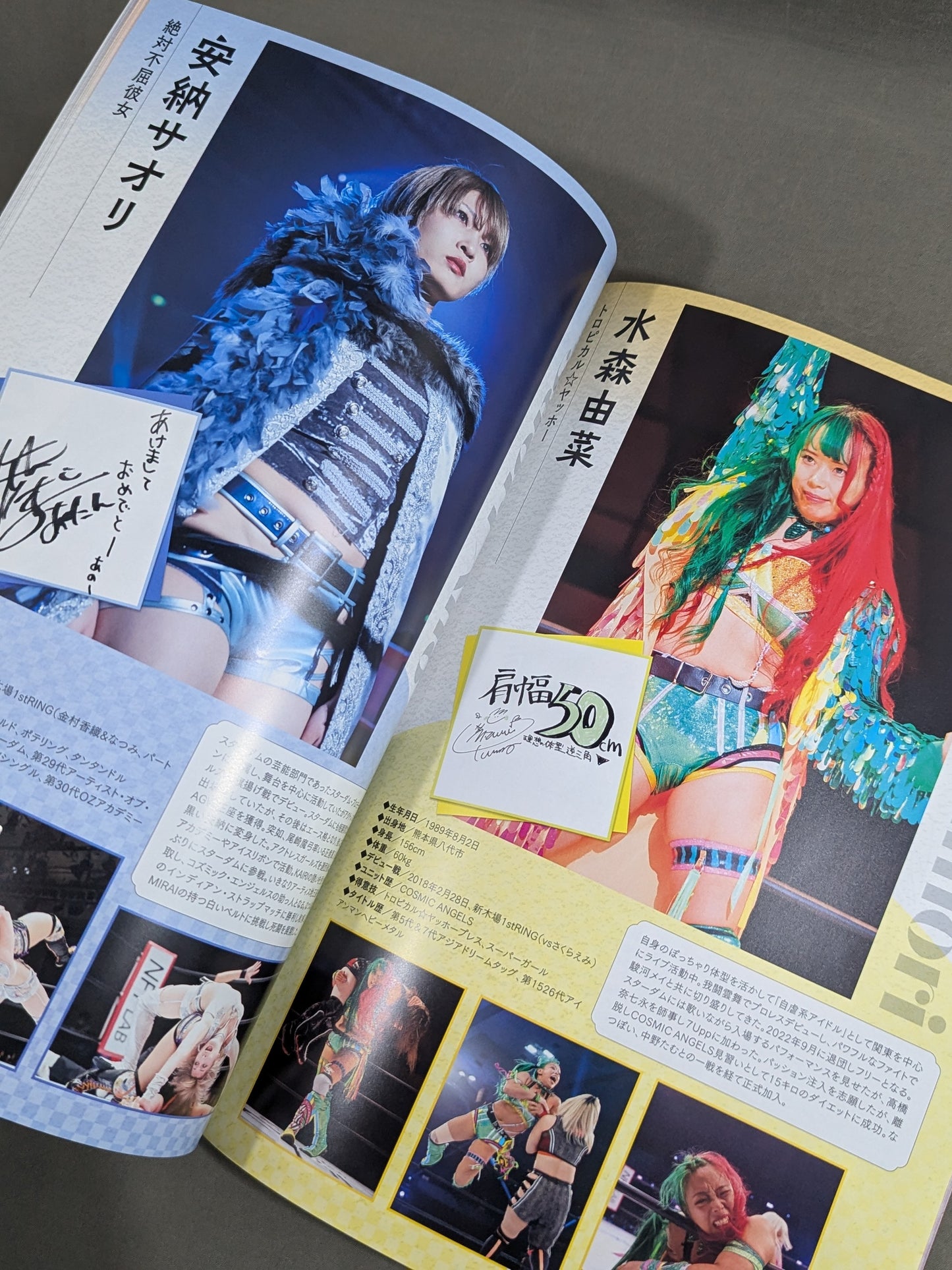 STARDOM OFFICIAL GUIDE BOOK Vol.150