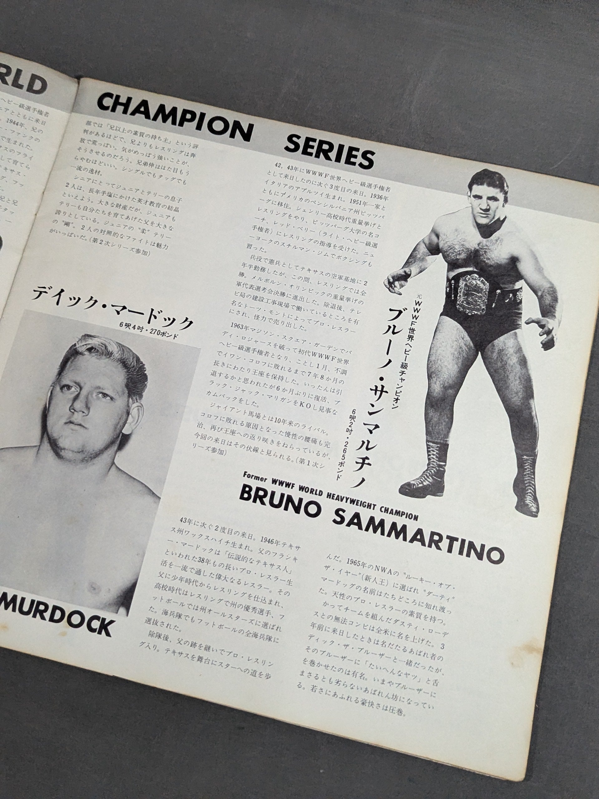 激レア1970年ワールドチャンピオンシリーズパンフレット 激レア1970年ワールドチャンピオンシリーズパンフレット 激レア1970年