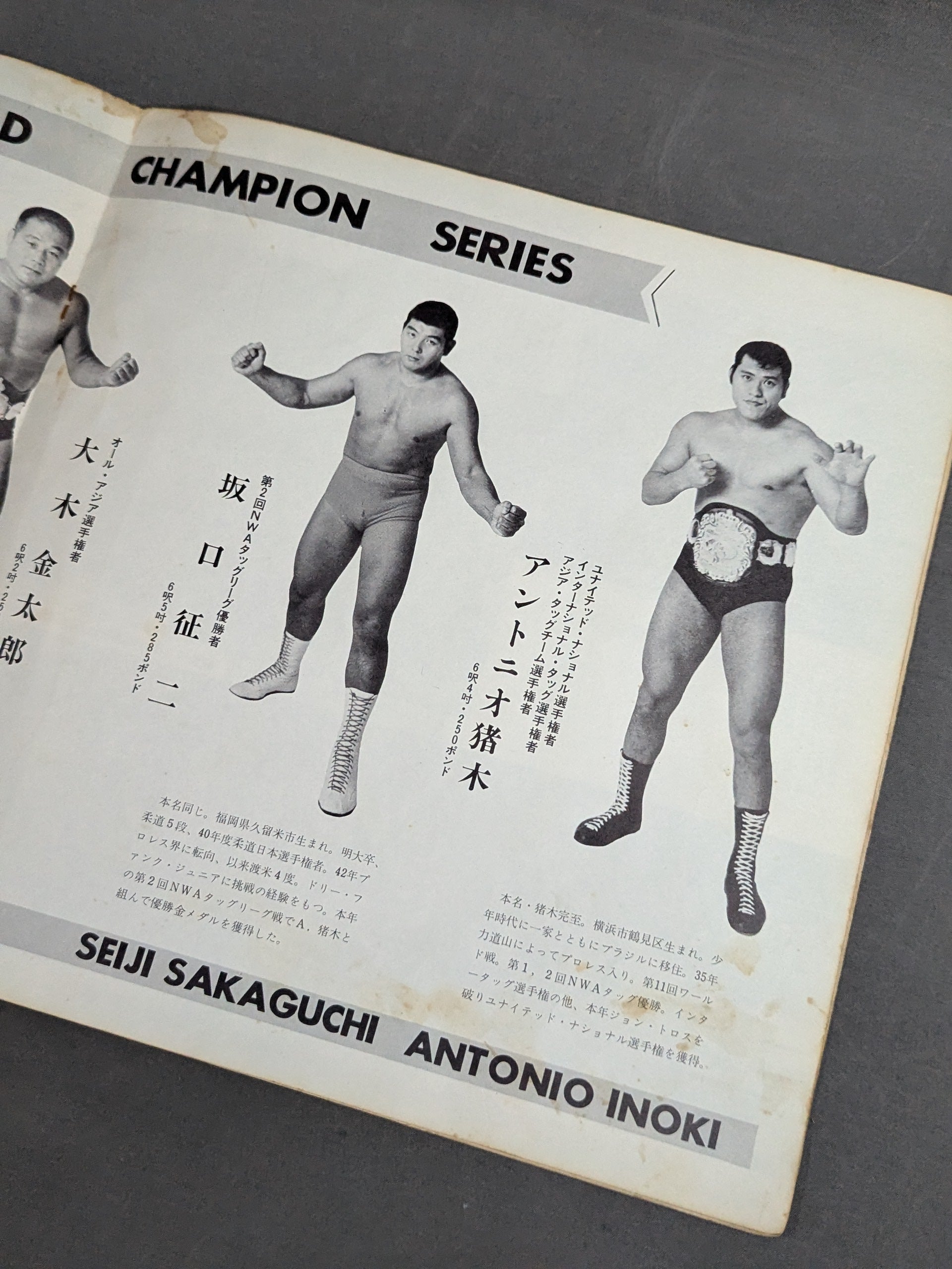 71ワールド・チャンピオン・シリーズ – 闘道館