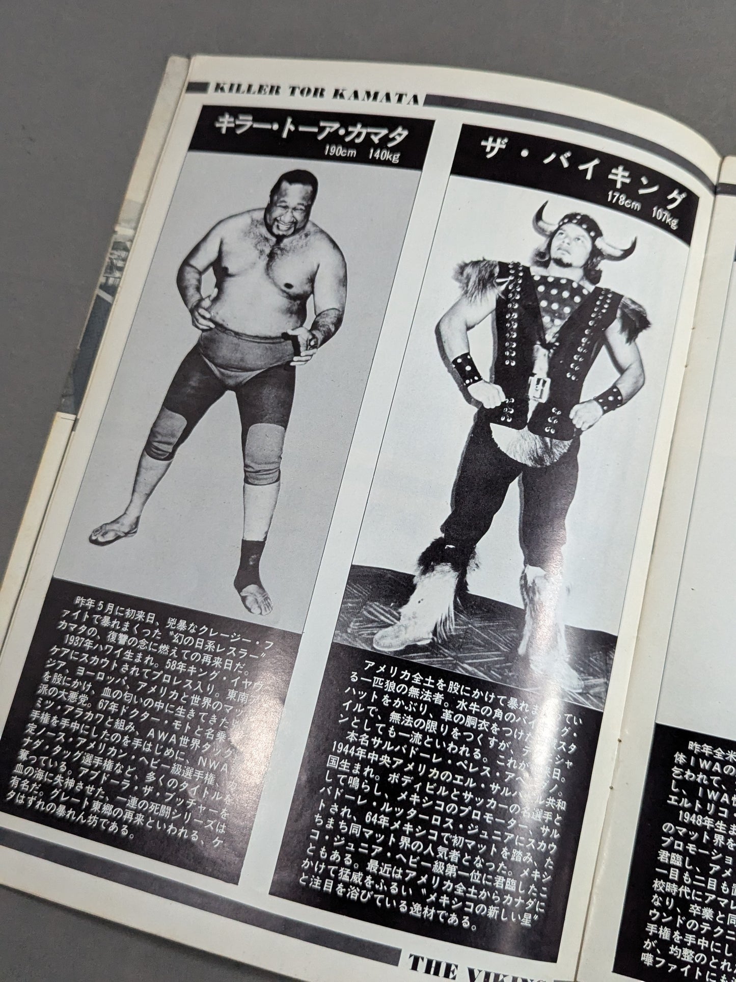 76スーパーファイトシリーズ