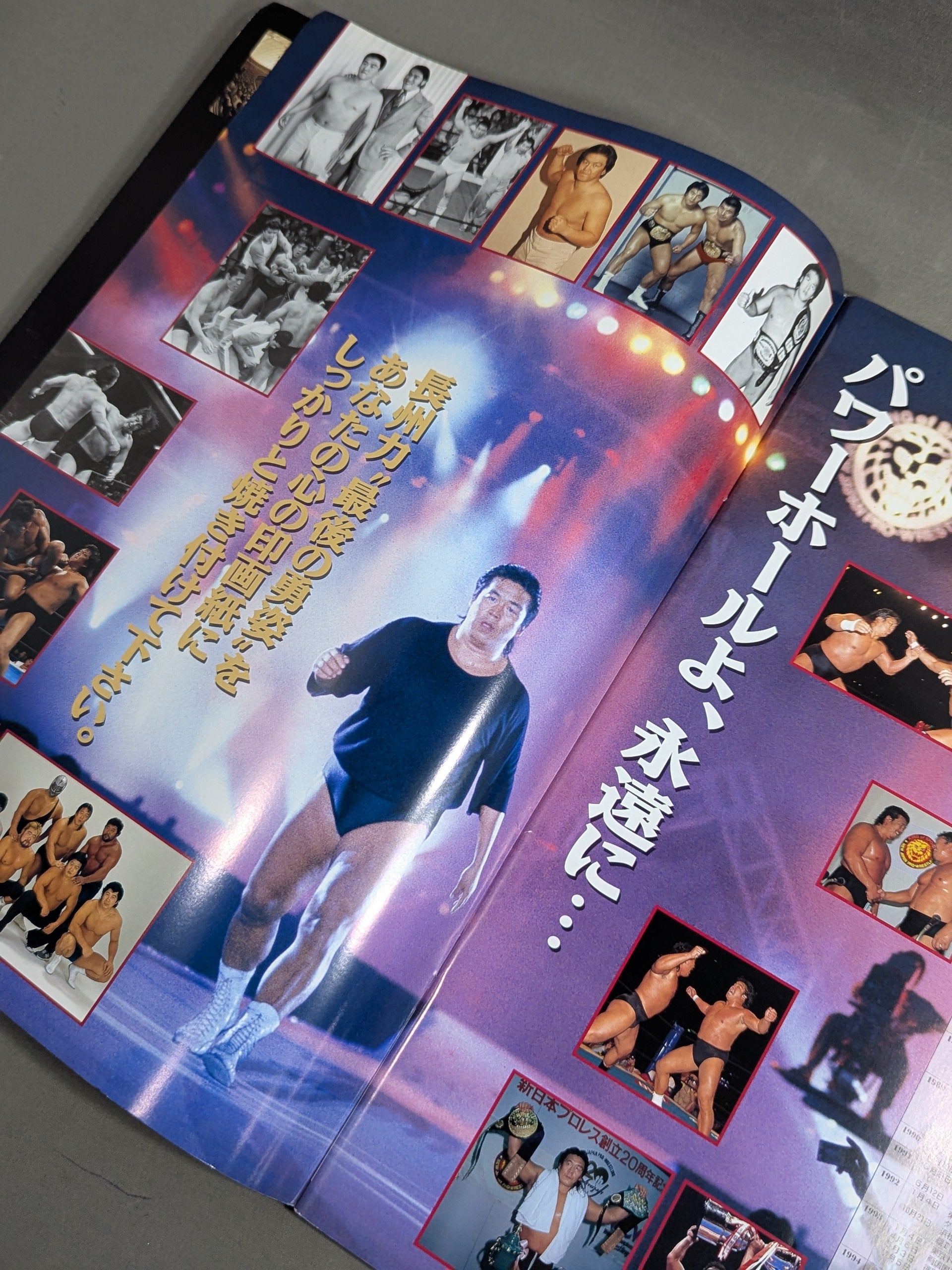 ☆長州力引退試合☆ FINAL POWER HALL in 闘強導夢 – 闘道館