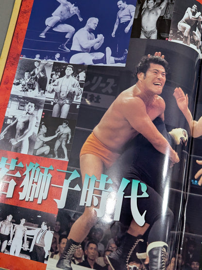 ★燃える闘魂 アントニオ猪木引退試合★ FINAL THE INOKI