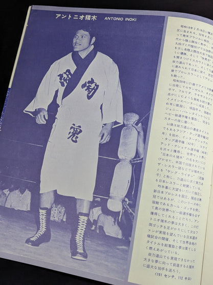 ★真の世界選手権★ 72ニューゴールデン・シリーズ 世界選手権記念号