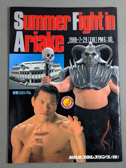 Summerfight in Ariake