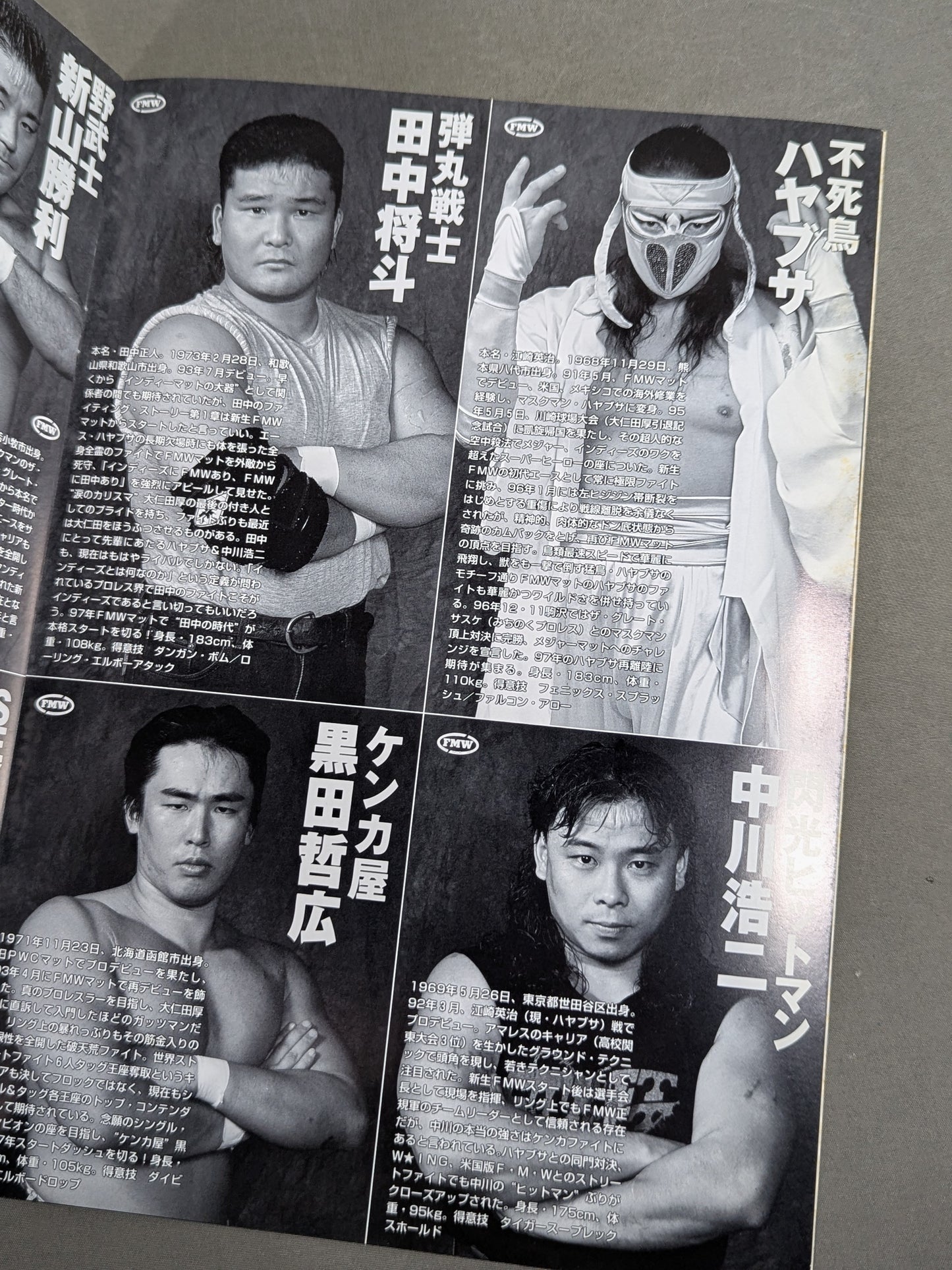 FMW OFFICIAL GUIDE BOOK 1997 Vol.1