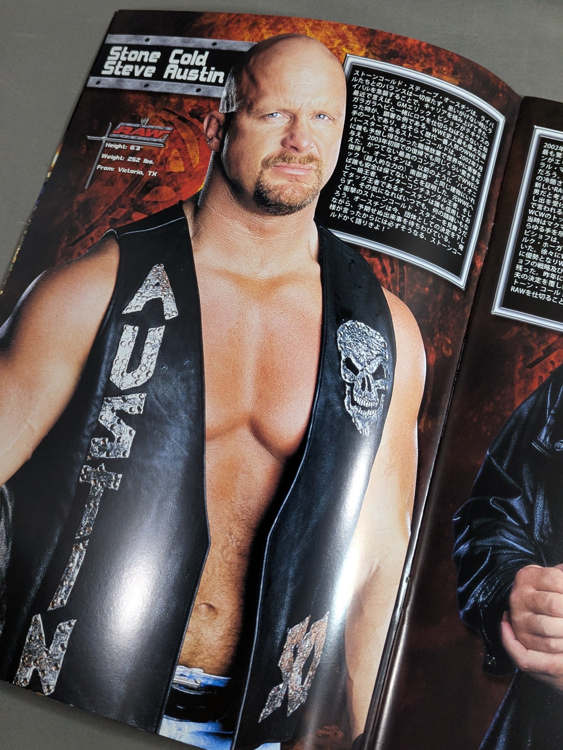 RAW ROAD TO WRESTLEMANIA XX TOUR – 闘道館