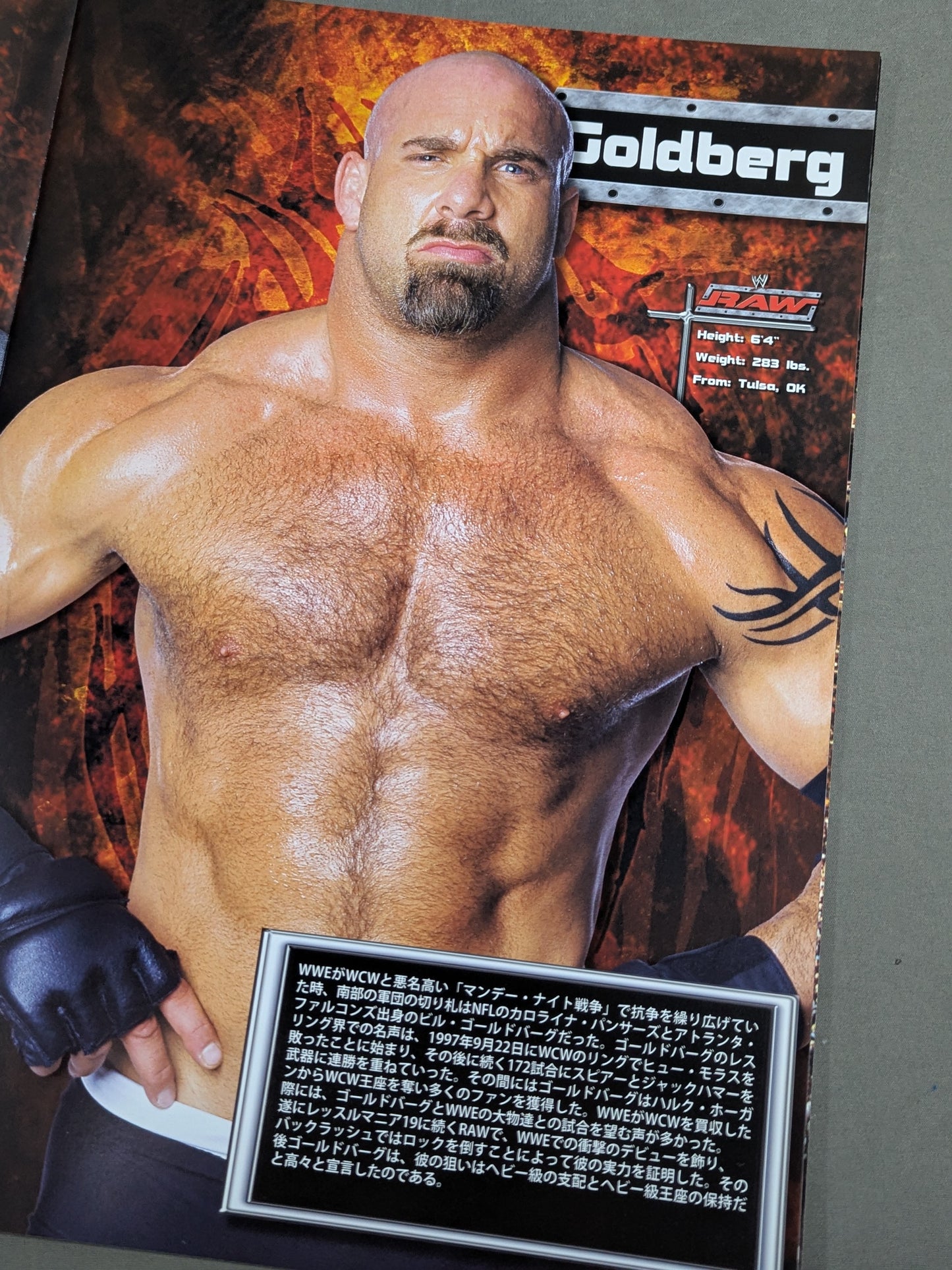 RAW ROAD TO WRESTLEMANIA XX TOUR