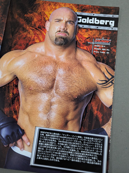 RAW ROAD TO WRESTLEMANIA XX TOUR