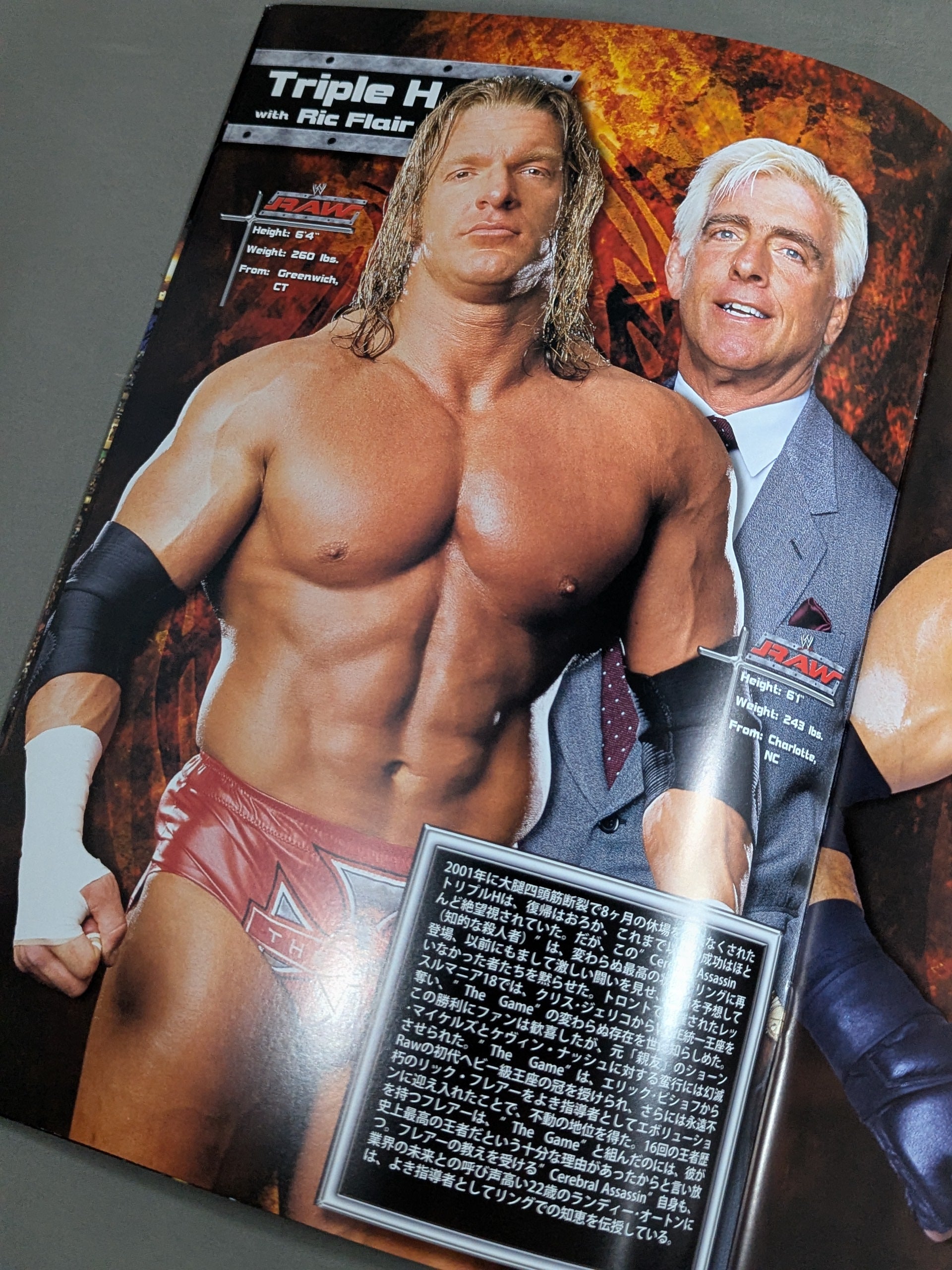 RAW ROAD TO WRESTLEMANIA XX TOUR – 闘道館